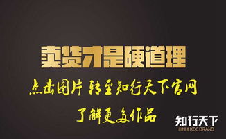 天貓品牌策劃方案