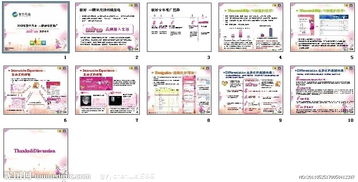 公關專題活動策劃方案