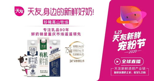 天友乳制品策劃方案