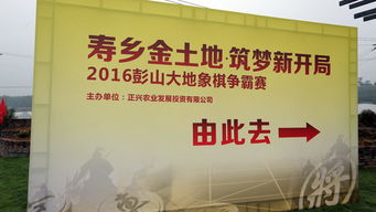 社會公益活動策劃方案