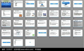 百麗營銷策劃方案
