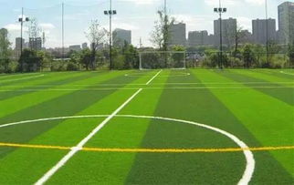 足球場(chǎng)地建設(shè)策劃方案