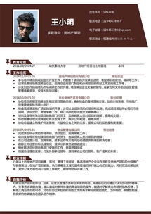 房地產(chǎn)方案策劃個人簡歷模板