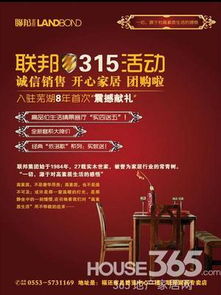 315房產(chǎn)活動(dòng)策劃方案