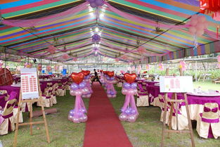 農(nóng)村特色婚禮策劃方案