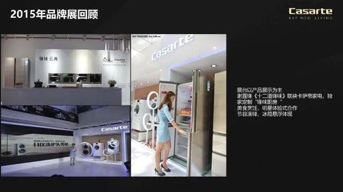 美術(shù)大展策劃方案