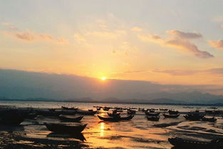 去大夫山兩天一夜游的策劃方案