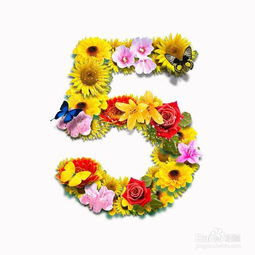 公司文娛活動(dòng)策劃方案