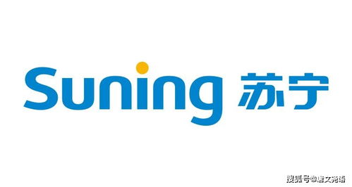 蘇寧電器營(yíng)銷(xiāo)策劃方案