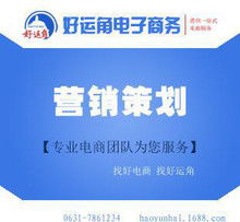 syb網(wǎng)店網(wǎng)絡(luò)營銷策劃方案