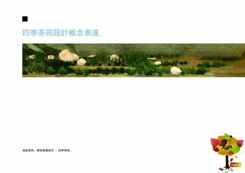 茶園經(jīng)營策劃方案