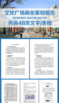 商業(yè)文化活動策劃方案