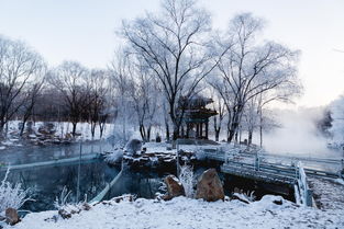 冬季旅游策劃方案本溪