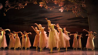 舞蹈專場(chǎng)策劃方案