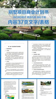 中國別墅商業(yè)街企劃策劃方案