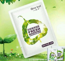 一葉子面膜策劃方案