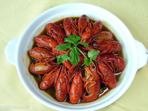 美食分享活動策劃方案