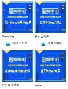 耍雙截棍節(jié)目的策劃方案流程