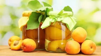 關(guān)于水果罐頭山西策劃方案