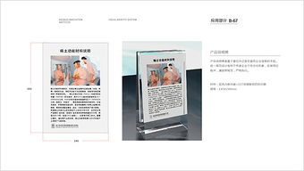 vi策劃方案案例