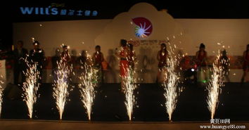 2014最新會(huì)策劃方案