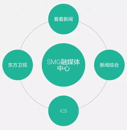 節(jié)目策劃方案模式