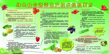 蔬菜展覽項目策劃方案