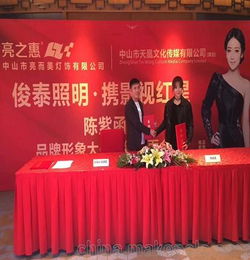 小型廣告策劃方案