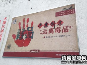 社區(qū)大型公開活動策劃方案