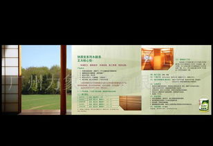 mm廣告策劃方案