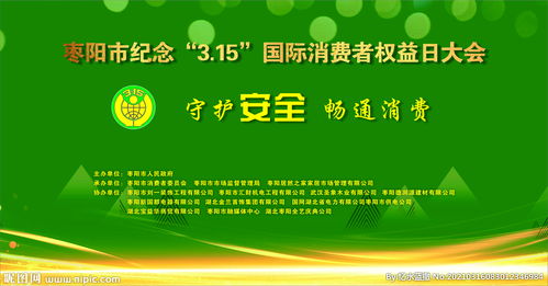 3.15活動策劃方案大學