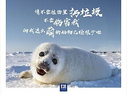 國(guó)際海豹日策劃方案