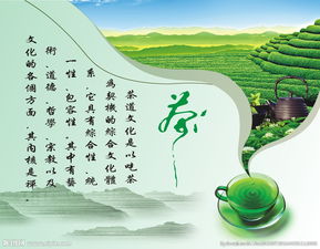 品茶會(huì)策劃方案