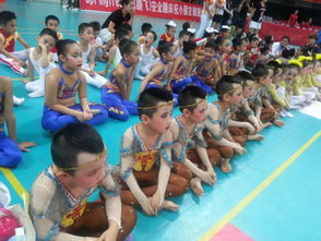 小學(xué)生體操大會策劃方案