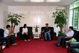 電大廣告方案策劃包括