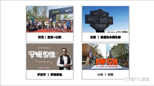 文旅地產(chǎn)策劃方案