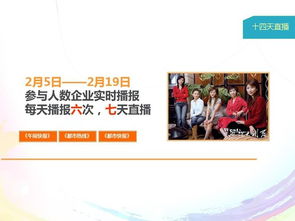 大型公益活動策劃方案