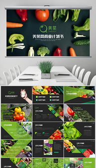 蔬菜電子商務(wù)策劃方案