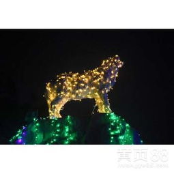 4d燈光秀策劃方案