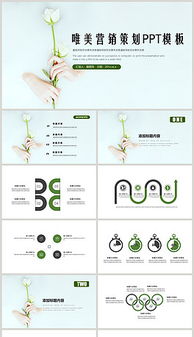 盆栽花卉營(yíng)銷策劃方案