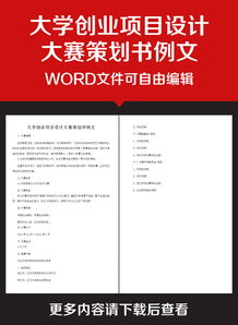 統(tǒng)計方案設(shè)計大賽策劃書