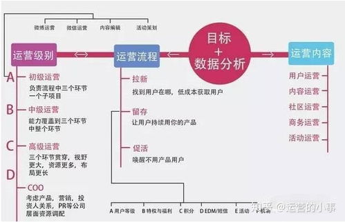 新媒體策劃方案怎么寫