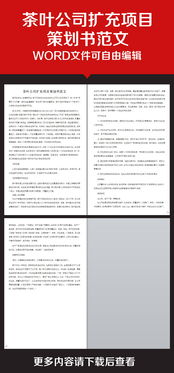 食品項目策劃方案范文