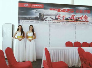 ?？陂_(kāi)業(yè)活動(dòng)策劃方案