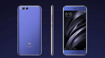 小米策劃方案及費用