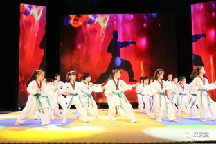 跆拳道道館六一表演晚會策劃方案