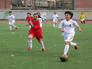 會所足球主題活動策劃方案