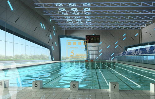 游泳館管理策劃方案