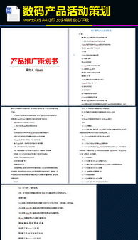 產(chǎn)品營(yíng)銷(xiāo)策劃方案格式