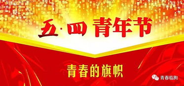 青團員活動策劃方案